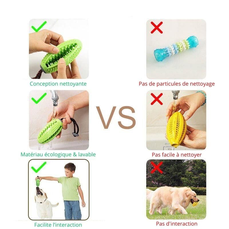 ToyBrush™ - Jouet Soin des Dents pour Chien