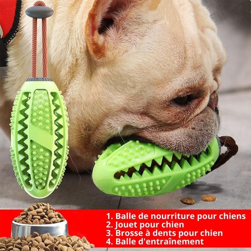 ToyBrush™ - Jouet Soin des Dents pour Chien