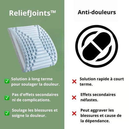 ReliefJoints™ - Coussin Soulage Douleurs Dos & Cou