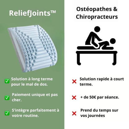 ReliefJoints™ - Coussin Soulage Douleurs Dos & Cou