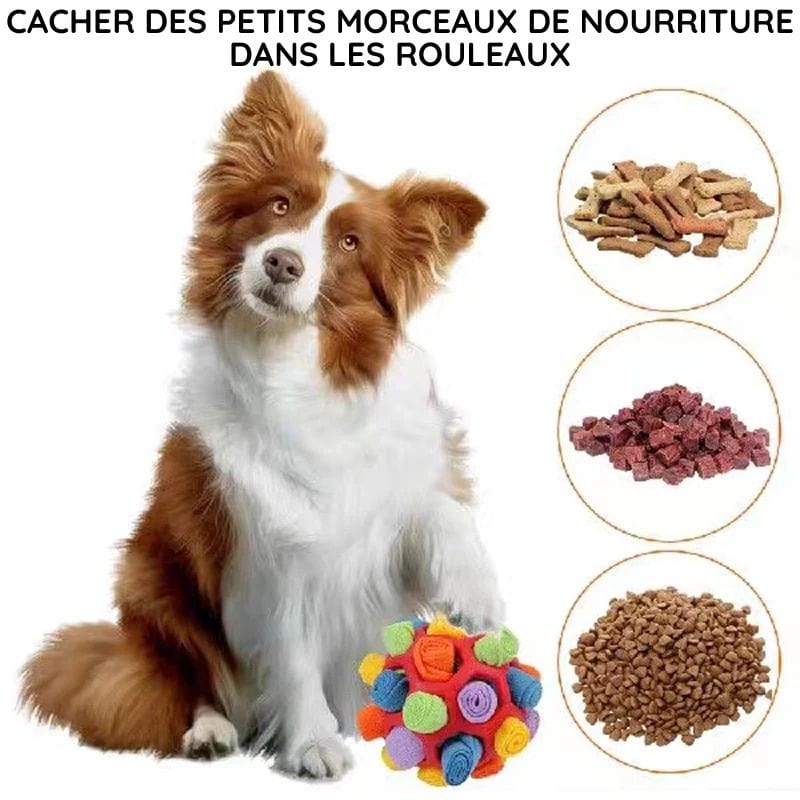 Sniffle™ - Jeu Interactif Cache-Friandises