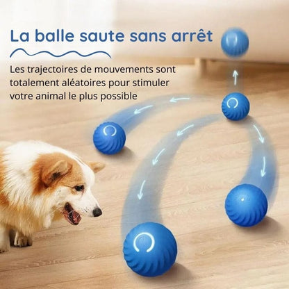 FunPets™ - Balle Roulante Automatique Anti-Anxiété